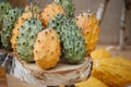 Pumpkins with spikes Royalty Free Stock Photo