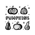 Pumpkins, square graphic poster with lettering. Set of different stylized squashes with decorative elements. Black doodle Royalty Free Stock Photo