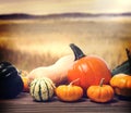 Pumpkins and squashes