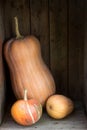 Pumpkins and squashes of different varieties in a wooden box. Autumn background. Rustic style, selective focus.