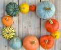 Pumpkins and squashes frame Royalty Free Stock Photo