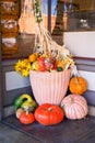 Pumpkins, Squashes, and Gourds