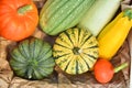 Pumpkins and squashes harvest Royalty Free Stock Photo