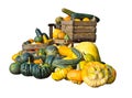 Pumpkins and squashes