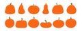 Pumpkins, squashes isolated, big Halloween set.