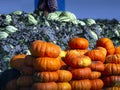 The pumpkins are stacked neatly on top of each other. A pile of watermelons behind pumpkins is covered with a camouflage net.