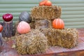 Pumpkins stand on sheaves of hay.