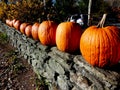 Pumpkins on stone fence