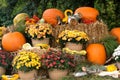 Pumpkins, straw and flowers Royalty Free Stock Photo