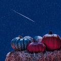 pumpkins on straw and shooting star Royalty Free Stock Photo