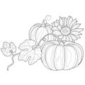 Pumpkins and sunflowers.Coloring book antistress for children and adults. Royalty Free Stock Photo