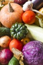 pumpkins, tomatoes, cabbage, zucchini, onions, dry autumn leaves, cucumber, garlic, vegetables Royalty Free Stock Photo