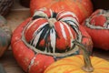 Pumpkins, turban squash at harvest festival