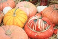 Pumpkins, turban squash at harvest festival