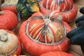 Pumpkins, turban squash at harvest festival