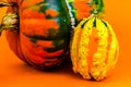 pumpkins of an unusual shape on orange background Royalty Free Stock Photo