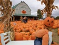 Pumpkins used as decoration in the food market, Orangeville, Ontario, Canada