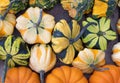 Pumpkins. Variation. Agriculture. Vibrant. Autumn Colors. Decor