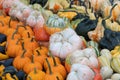 Pumpkins. Variation. Vibrant. Agriculture. Colors. Autumn. Decor