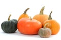 Pumpkins varieties