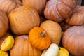 Pumpkins variety stacked on a farmers market stall, full background. Thanksgiving concept