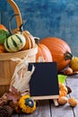 Pumpkins and variety of squash Royalty Free Stock Photo