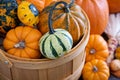 Pumpkins and variety of squash Royalty Free Stock Photo