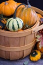Pumpkins and variety of squash Royalty Free Stock Photo