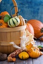 Pumpkins and variety of squash Royalty Free Stock Photo