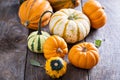 Pumpkins and variety of squash Royalty Free Stock Photo