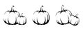 Pumpkins. Vector black and white line art illustrations.