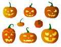 Pumpkins vector illustration