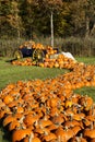 Pumpkins in Vermont Autumn