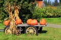 Pumpkins in Wagon