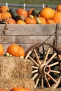 Pumpkins in Wagon Royalty Free Stock Photo