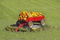 Pumpkins wagon green grass Royalty Free Stock Photo