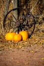 Pumpkins and wagon wheels by an old fence post decorate a driveway Royalty Free Stock Photo