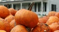 Pumpkins waiting to be cleaned