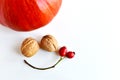 Pumpkins, walnuts, red rose hips, a composition resembling a smiling face Royalty Free Stock Photo