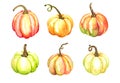 Pumpkins watercolor set for Thanksgiving cards on white background Royalty Free Stock Photo