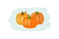 Pumpkins Watercolor Set. Thanksgiving Design Vector