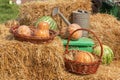 Pumpkins, watermelons and a garden watering can are displayed on sheaves of straw