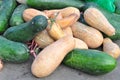 Pumpkins and wax gourd Royalty Free Stock Photo