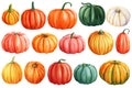 Pumpkins on white background, autumn set of elements on isolated white background, watercolor illustration, hand drawing Royalty Free Stock Photo
