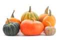 Pumpkins and winter squashes Royalty Free Stock Photo