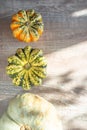 pumpkins on wooden background