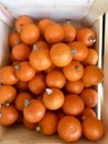 Pumpkins in Wooden Crate