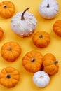 Pumpkins on a yellow background Royalty Free Stock Photo