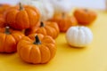 Pumpkins on a yellow background Royalty Free Stock Photo