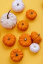 Pumpkins on a yellow background Royalty Free Stock Photo